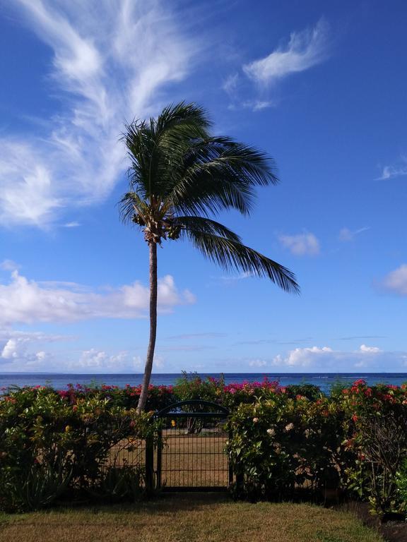 Savannah Guadeloupe Saint-Francois  Esterno foto